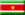 Ambassade du Suriname en Inde - Inde