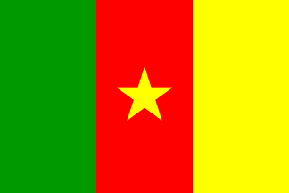 Drapeau national, Cameroun