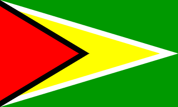 Drapeau national, Guyane