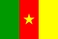 Drapeau national, Cameroun