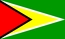 Drapeau national, Guyane
