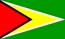 Drapeau national, Guyane