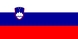 Drapeau national, Slovénie
