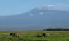 3 Days Amboseli  Safari- Mount Kilimanjaro Base Tour