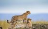 SUMMER TRAVEL TO TANZANIA